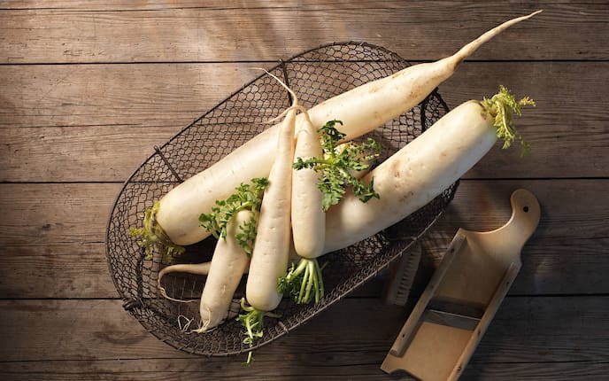 Garten, Pflanzenporträt, Gemüse des Monats, Rettich