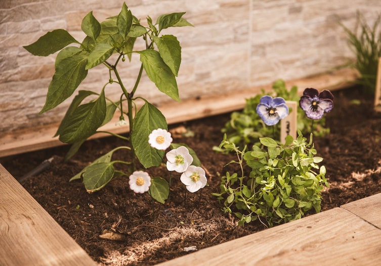 Gartenstecker aus Keramik, Kräuterbeet, Servus am Marktplatz