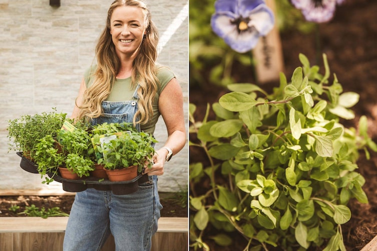 Resi Starkl, Servus Garten 2025, Gartenküche, Kräuterbeet