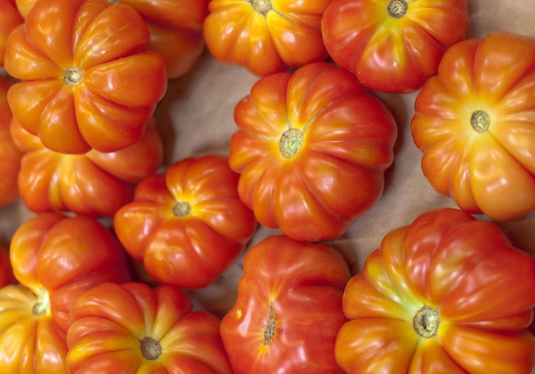 Fleischparadeiser. Fleischtomaten, German Gold,