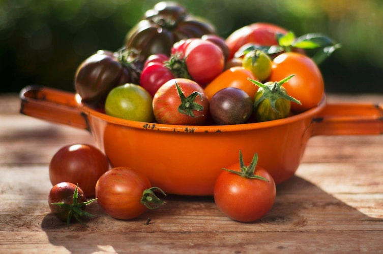 Gute Küche, Küchenwissen, Tomaten, Paradeiser, Früchte, Sorten