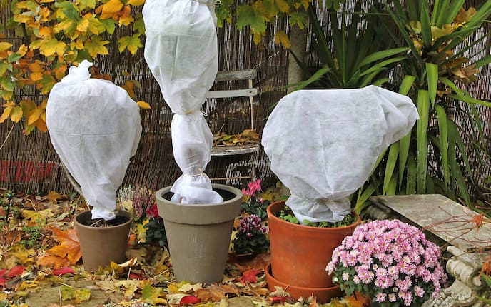 Garten, Winter, vorbereiten, winterharte Pflanzen