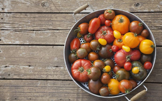 Tomaten (Bild: Mauritius Images), Obst, Gemüse, Juli, Servus