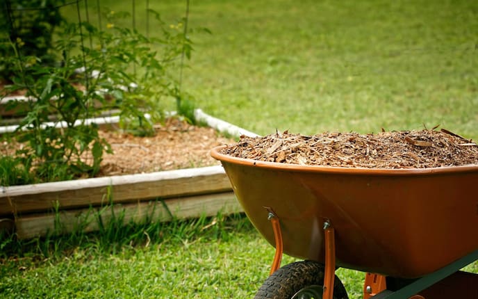 Mulchen im Garten, Servus, Garten