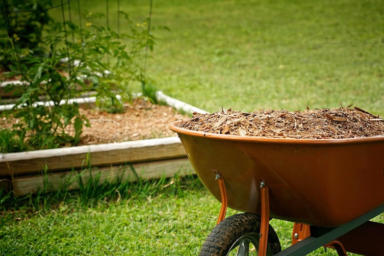 Mulchen im Garten, Servus, Garten