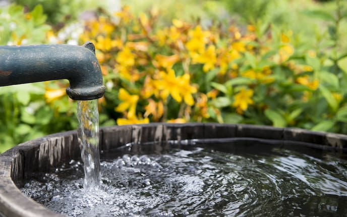 Wasser im Garten sparen (Bild: Thinkstock), Servus