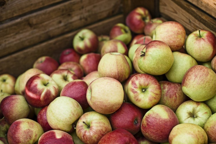Äpfel, Obst, Gemüse, November, Saison
