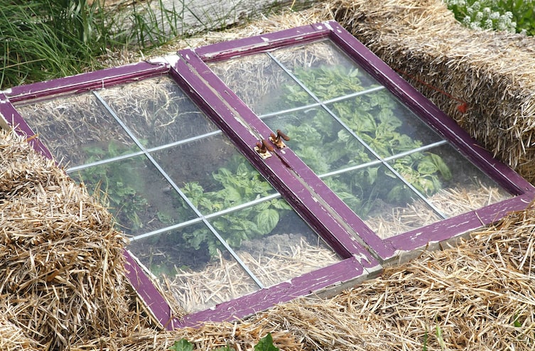 Frühbeet, Glashaus, Pflanzen ziehen