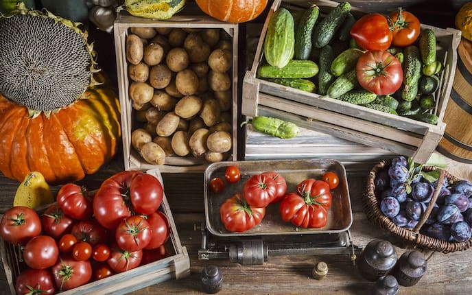 Obst und Gemüse richtig lagern