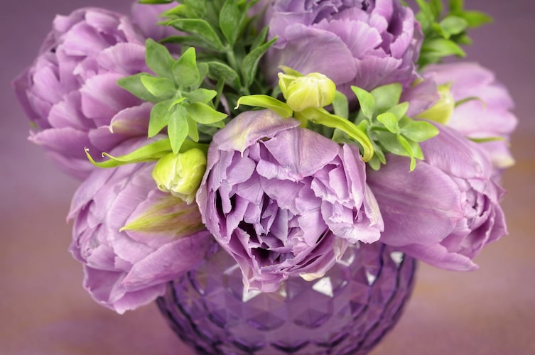 Pfingstrosen in der Vase (Bild: Mauritius Images)