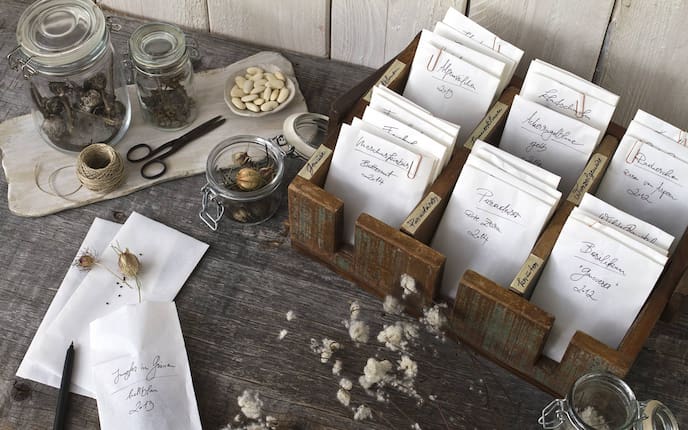 Samen-Archiv (Foto: Michaela Gabler)