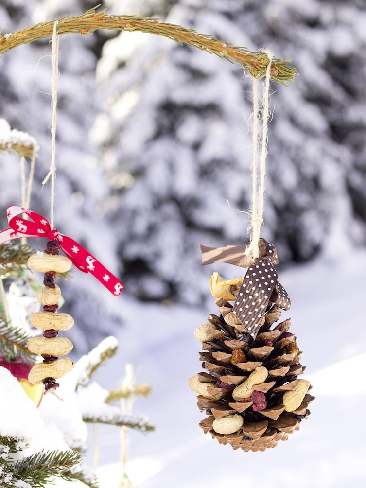 Futter-Christbaum für Tiere: Bockerl (Bild: Peter Podpera)