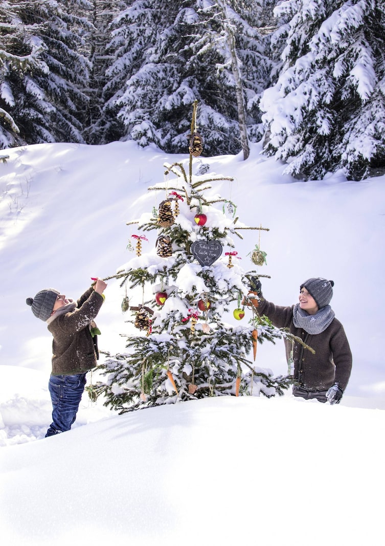 Futter-Christbaum für Tiere (Bild: Peter Podpera)