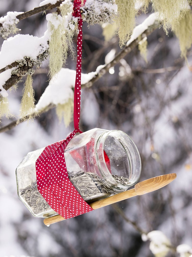 Futter-Christbaum für Tiere: Vogelfutter (Bild: Peter Podpera)