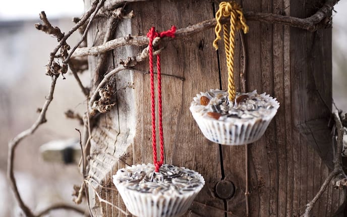 Vogelfutter selber herstellen: Körndl-Torten, Servus