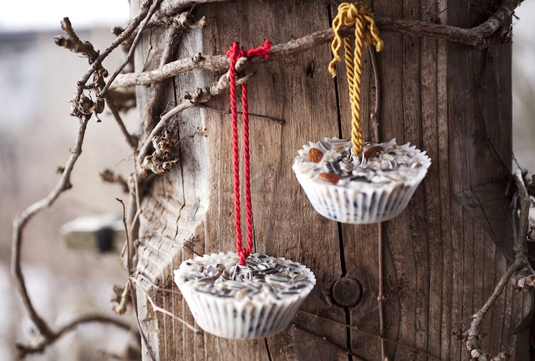 Vogelfutter selber herstellen: Körndl-Torten, Servus