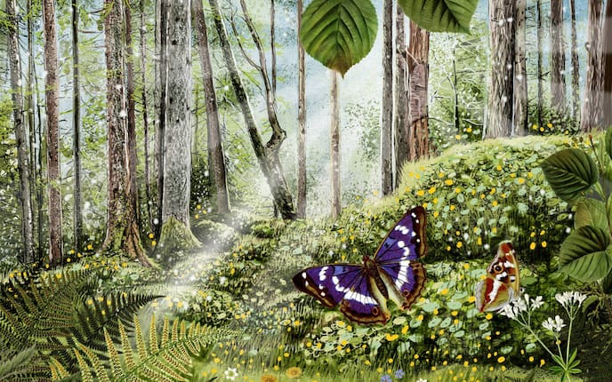 Wald, Natur, Schmetterling, Illustration