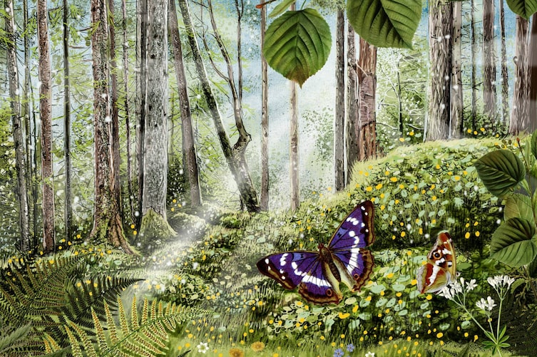 Wald, Natur, Schmetterling, Illustration