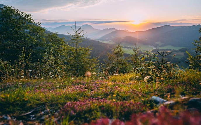 Inzell entdecken: Ein Sommer zwischen Almen, Seen und Gipfeln