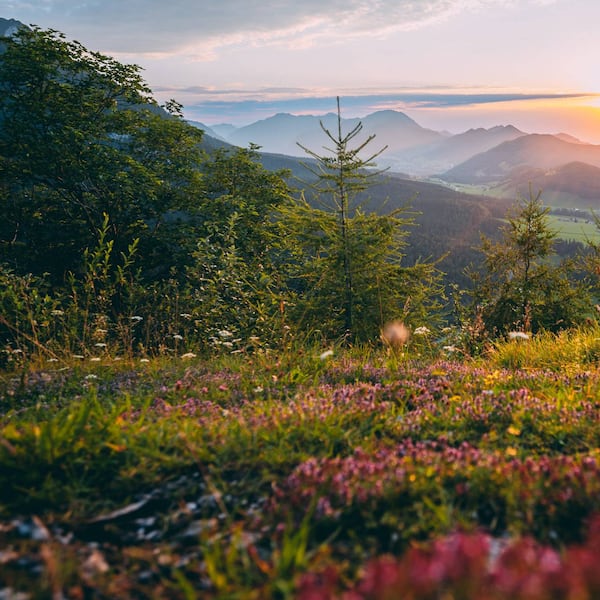 Inzell entdecken: Ein Sommer zwischen Almen, Seen und Gipfeln