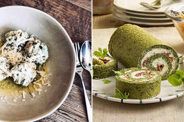 Brennnessel, Brennnesselknödel, Brennnesselroulade, Rezepte mit Brennnesseln