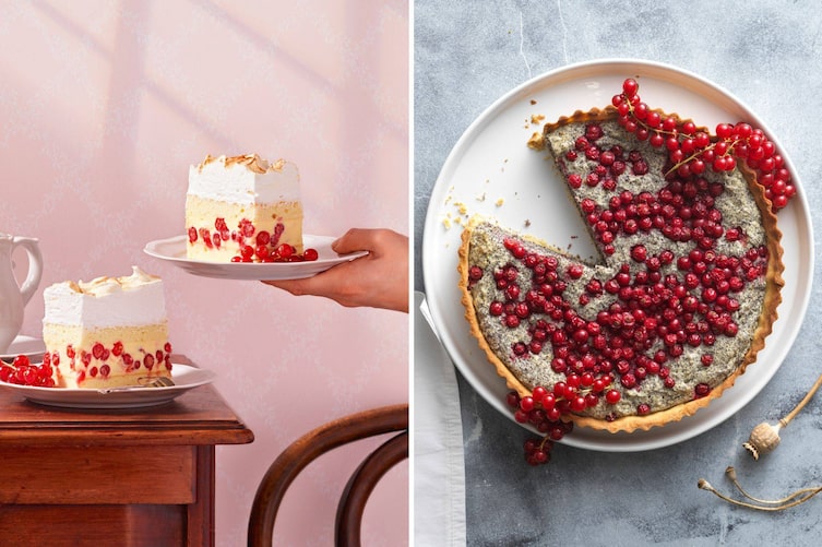 Ribiselschaumschnitte, Topfen-Mohn-Torte, Rezepte Ribisel