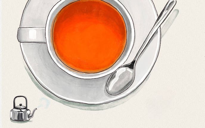 Teetasse, Illustration, Teekanne, Teewissen, Tee richtig zubereiten