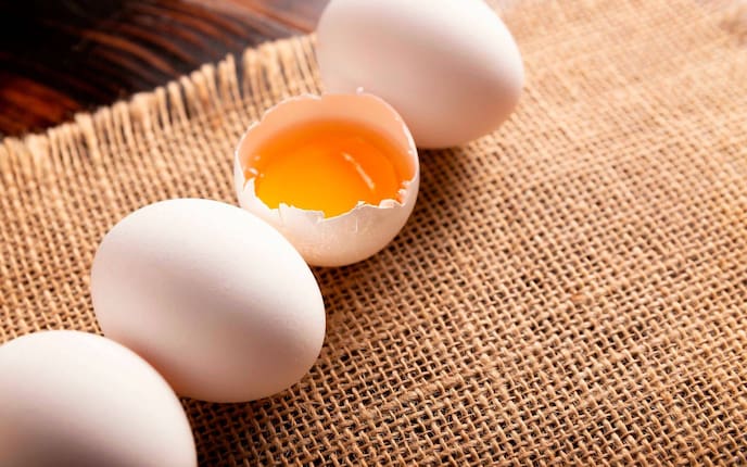 Eidotter, Dotter, Rezepte mit vielen Dottern, Dotter übrig, Küchenwissen