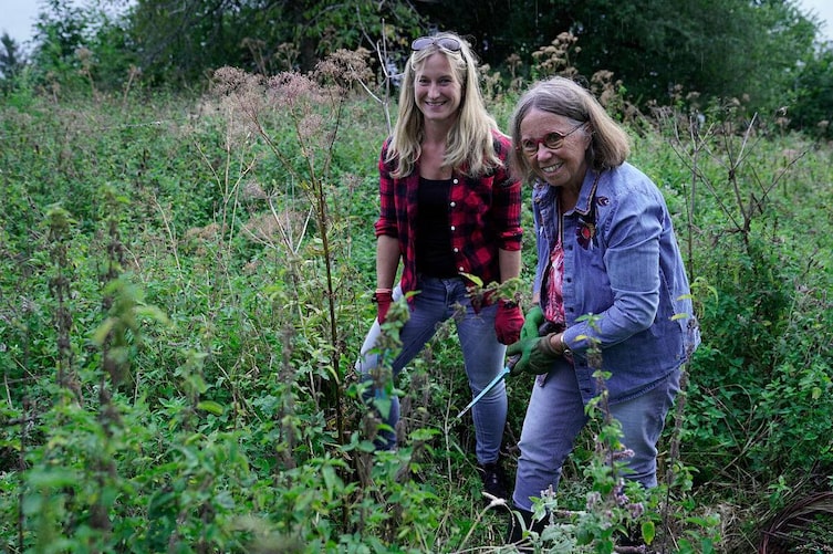 Renée Schroeder, Jenny Gruber, Wildkräuter entdecken, Wildkräuter