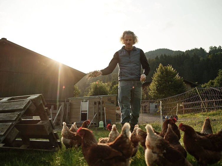 Bio Demeterhof Knolln, Hühner füttern
