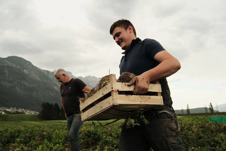 Tiroler Gemüsekiste