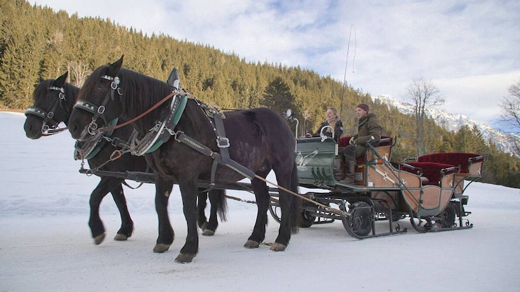 Paula Bründl kocht, Pferdeschlitten, Halseralm