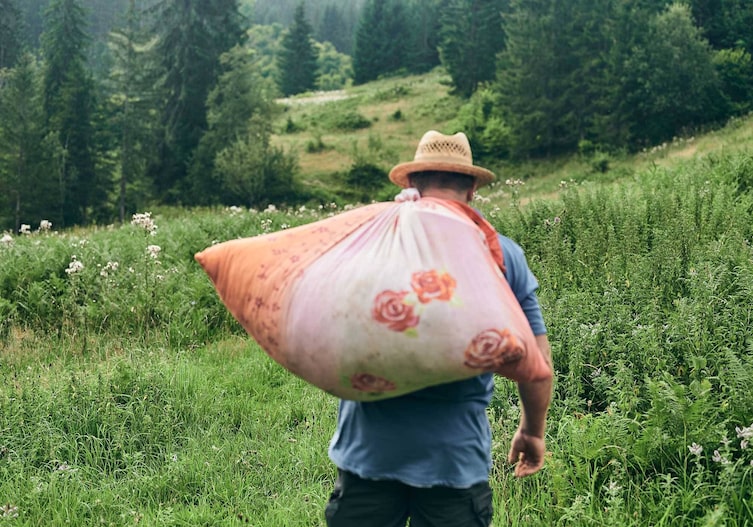 Foto: Raphael Gabauer