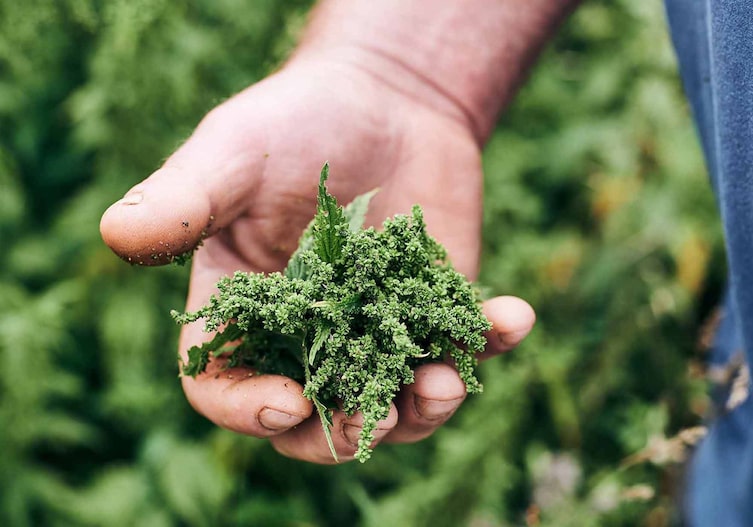 Foto: Raphael Gabauer