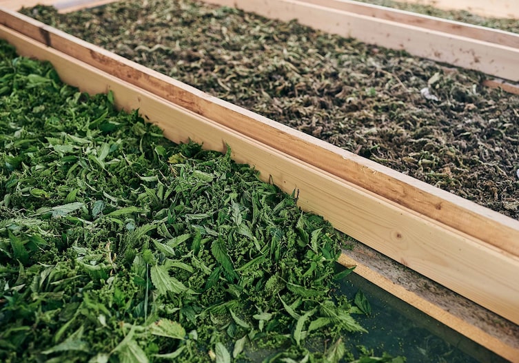 Foto: Raphael Gabauer