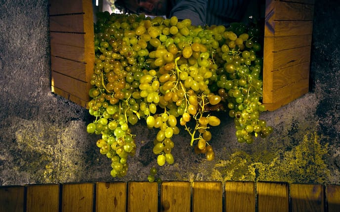 Handwerk, Braumpresse, Burgenland