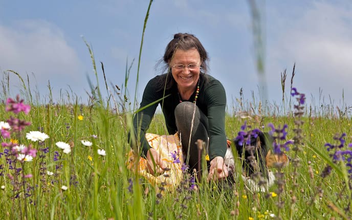 Karin Böhmer, Wildblumensamen, Karin Böhmer, Saatbut