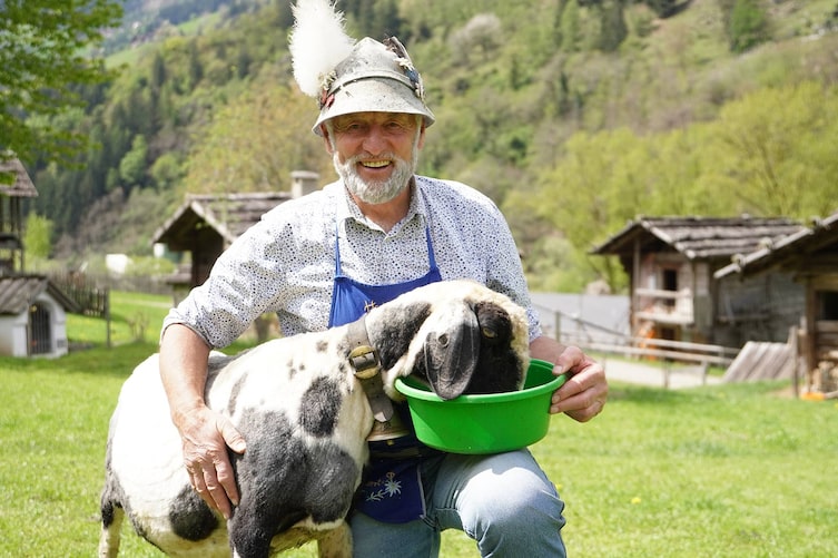 Albert Pixner, Schaf