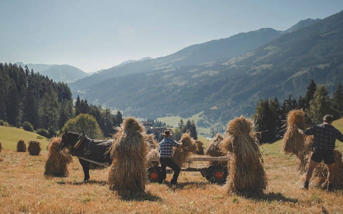 Anton und Silvio Rainer-Pranter beim Einholen des Getreides, Servus