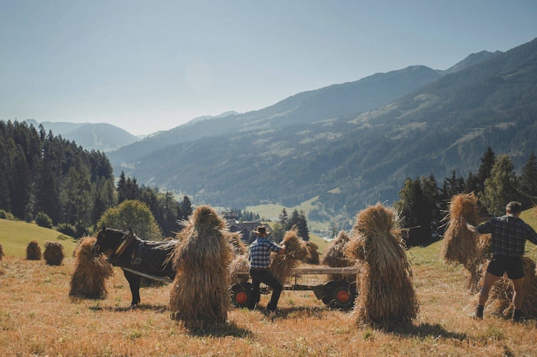 Anton und Silvio Rainer-Pranter beim Einholen des Getreides, Servus