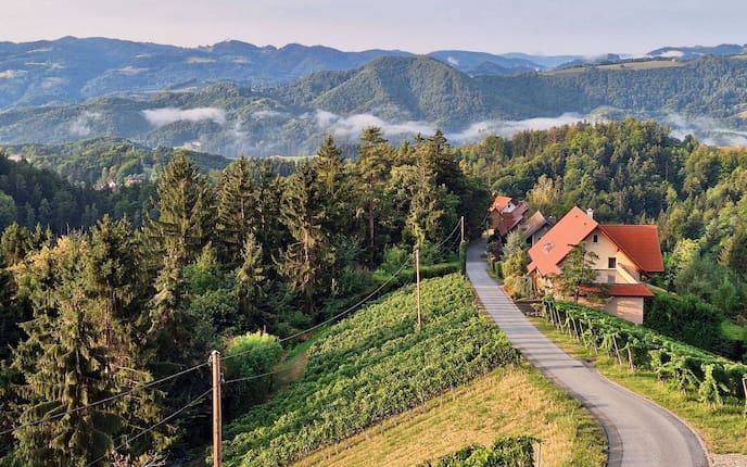 Die wunderschöne Landschaft bei Leutschach an der Weinstraße.
