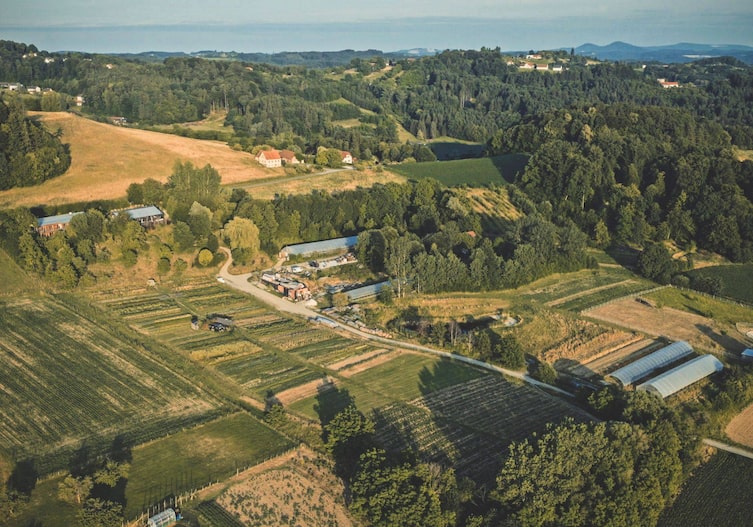 Margrit De Colles Blumenfelder