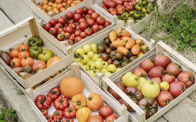 Bauernladen, Österreich, Regional essen, regionales Essen, Lebensmittel vom Bauern
