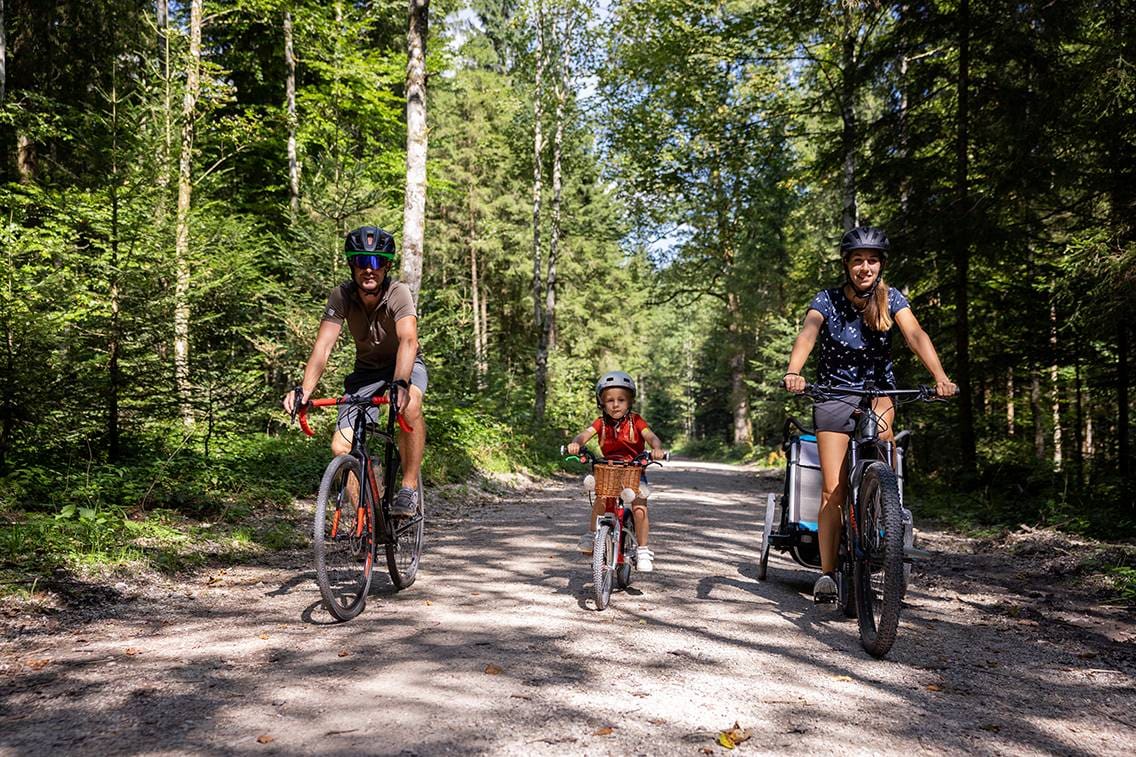 Radeln durch den Wald – Familienfreundliche Wege für Groß und Klein.