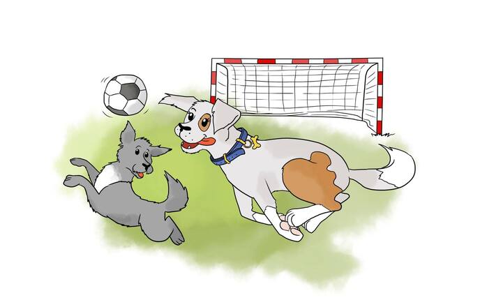 Kinder, Test, Quiz, Fußballtyp