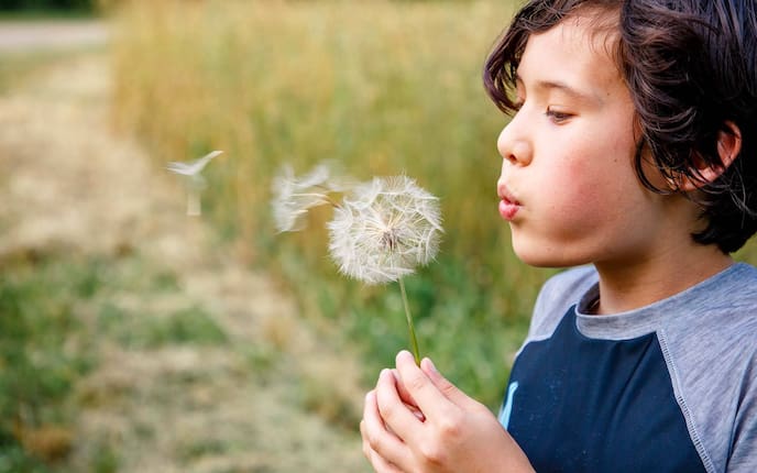 Atmen, Adlerwissen, Kind, Putseblume