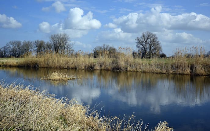 See, Ufer, Gewässer, Sonne, Natur
