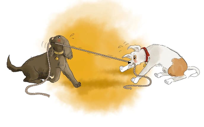 Servus Kinder, Test, Sportart, Seilziehen