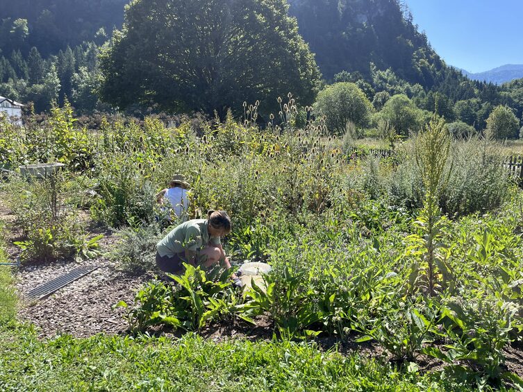 Kräutergarten, Kloster Gut Aich, Servus Sommerfrische, Wolfgangsee