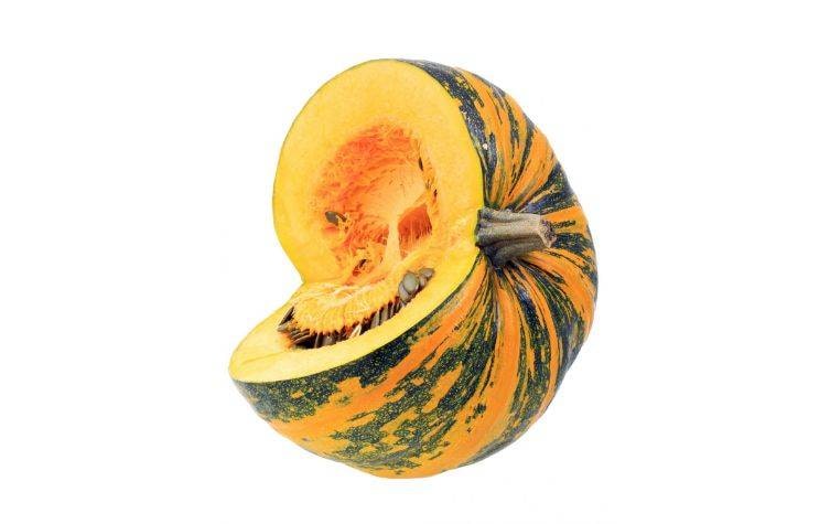 Steirischer Ölkürbis, Kürbissorten, Den steirischen Ölkürbis erntet man entweder im Sommer, um ihn in der Küche zu verarbeiten. Oder im Herbst – dann wird aus seinen Kernen köstliches Öl gewonnen.